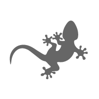 Lézard